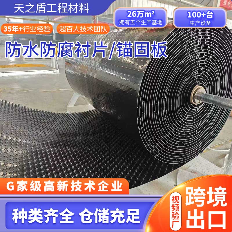 HDPE 多点聚乙烯锚固板污水池隧道混凝土防腐内衬