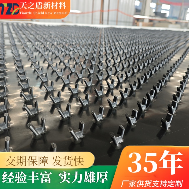 HDPE 多点锚固板厂家 V 型锚键聚乙烯锚固板混凝土防护衬板现货供应